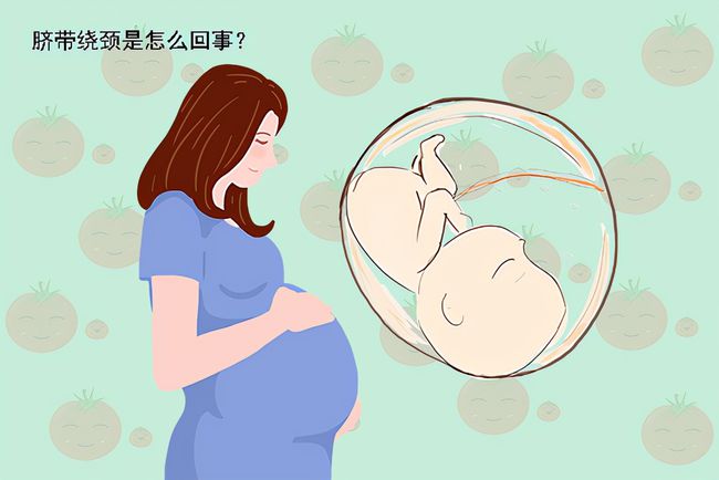 怀胎九月，诞生新生命