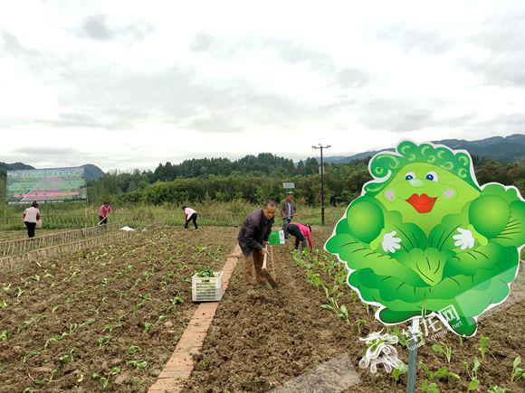 农场升级土地怎么找不到了_qq农场红土地升级_农场怎么升级黄土地