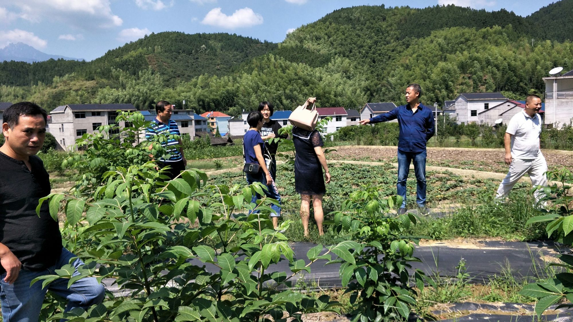 农场怎么升级黄土地_qq农场红土地升级_农场升级土地怎么找不到了