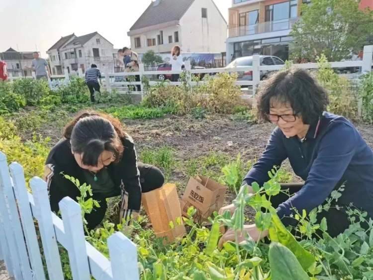 农场疯狂下载_疯狂农场下载手机版_疯狂农场5