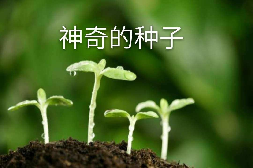 h春丽吧_求春丽拳皇h视频_h春丽种子