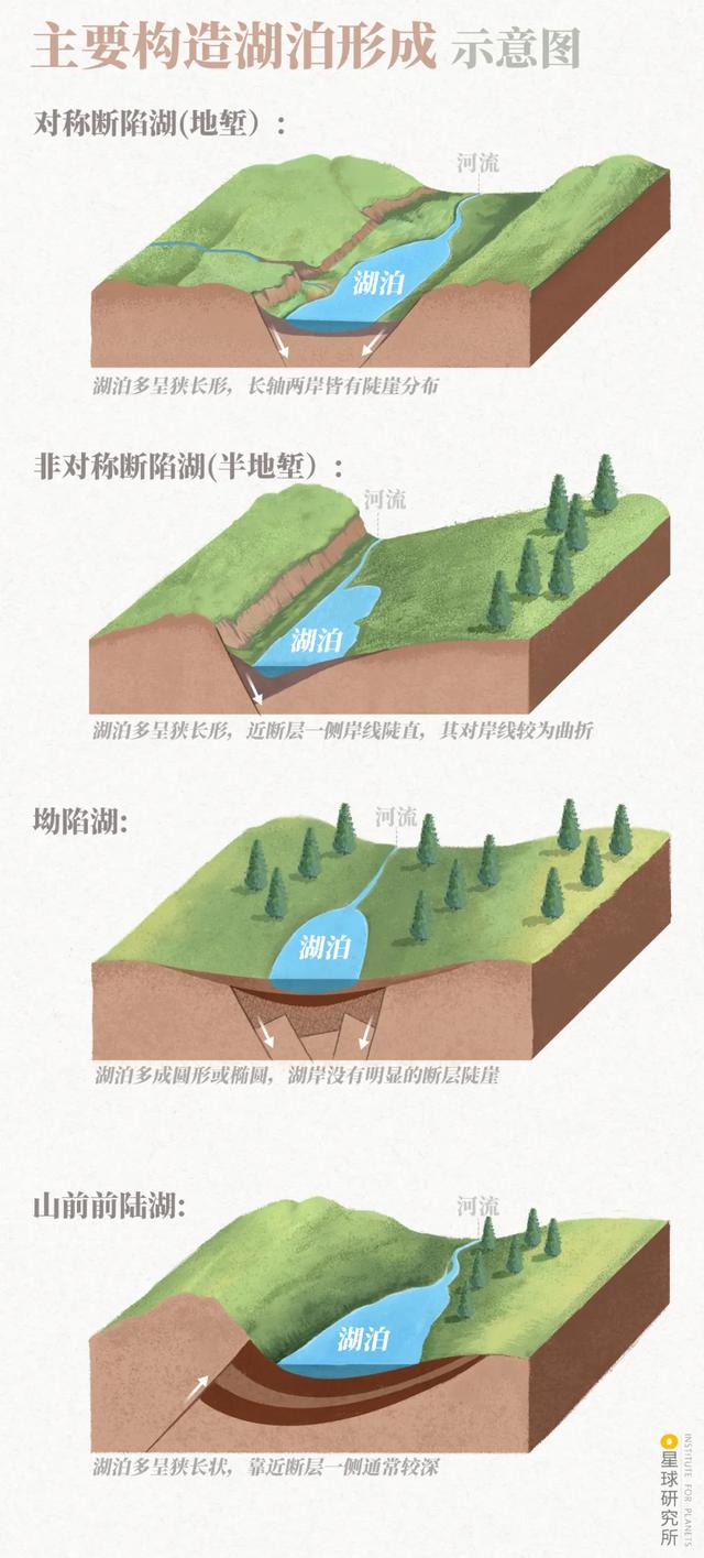 中野鸡视频_野鸟吧论坛_中鸟网野鸡论坛
