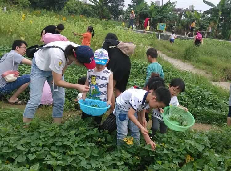 开心农场手游_农场开心农场游戏_开心农场登陆