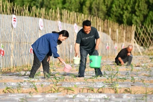 开心农场手游_开心农场登陆_农场开心农场游戏