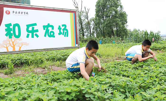 开心农场手游_开心农场登陆_农场开心农场游戏