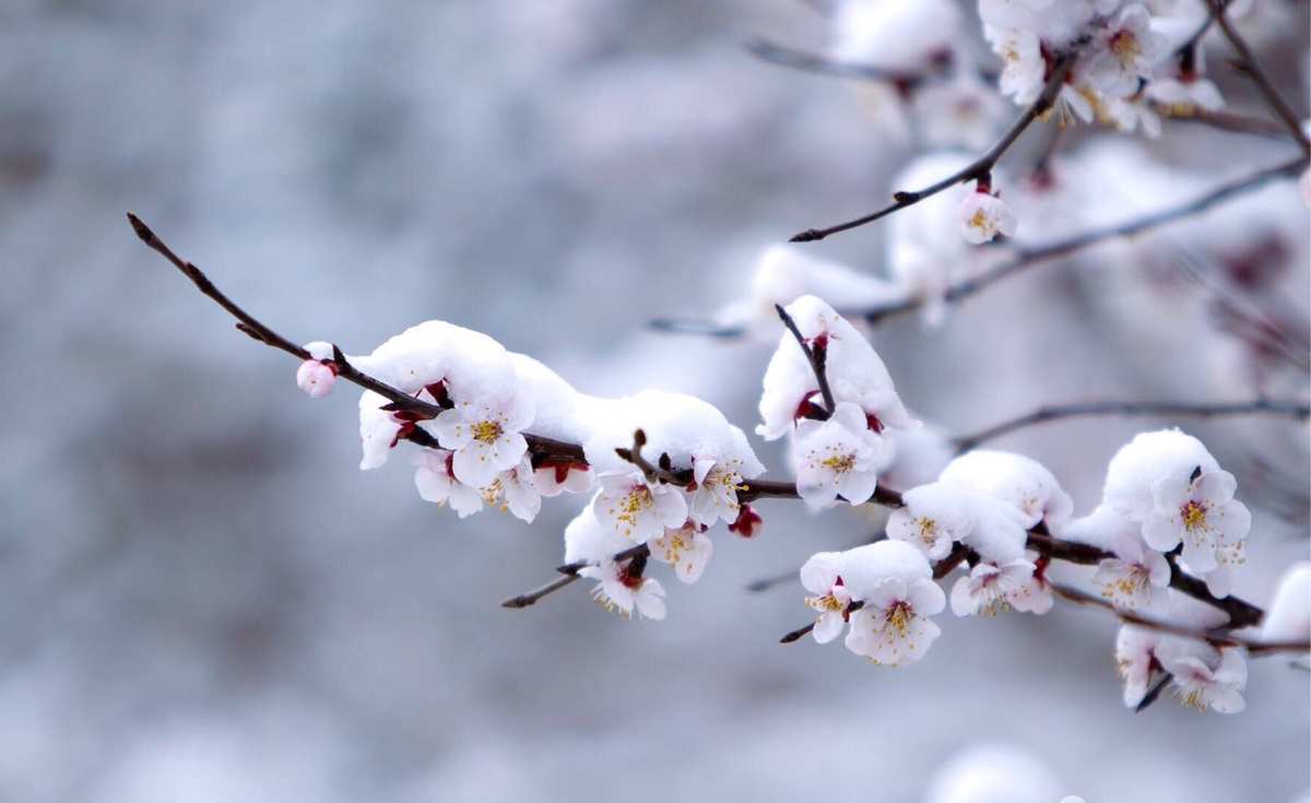飞雪传三明镜止水_飞雪传3明镜止水_飞雪传4回梦仙寻