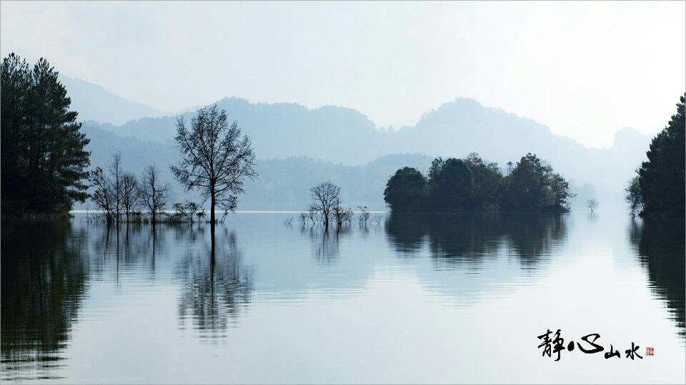 金华休闲静心山庄_龙泉山庄凤舞山庄_静心山庄