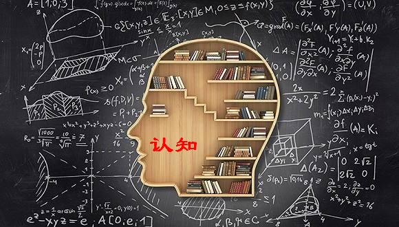 认知能力游戏_认知能力游戏设计_认知能力游戏活动设计方案