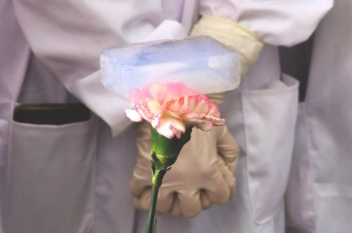 神奇三明镜：飞雪止水！
