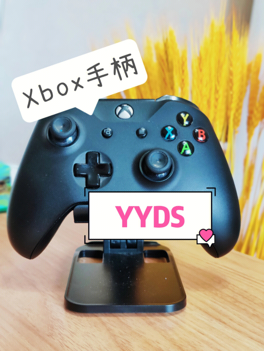 苹果系统手柄游戏_手柄苹果手机游戏_手柄苹果系统游戏怎么用