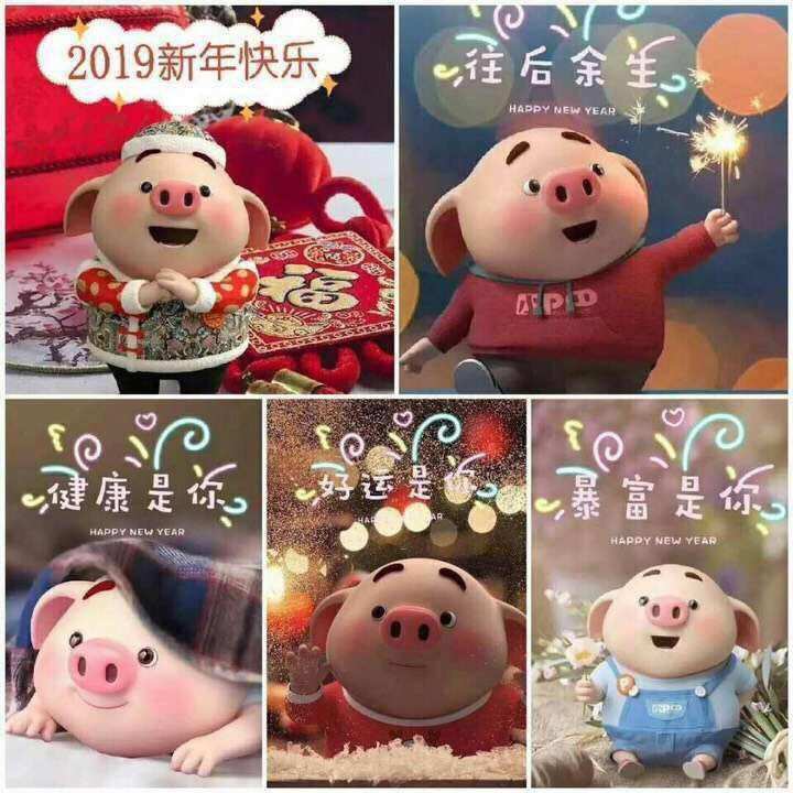 游戏名字_游戏加速器_the four pigs 游戏