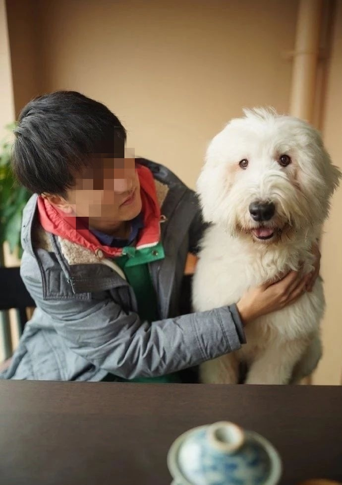 狗狗重庆人重庆人生的游戏_重庆狗狗训练基地_重庆狗狗