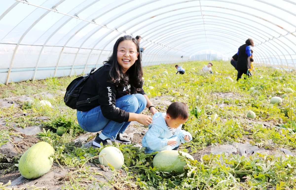 qq农场小游戏_农场游戏小说女主_农场游戏小说