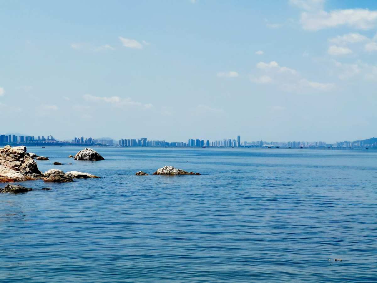 海天使图片_海天使是什么动物_海天使