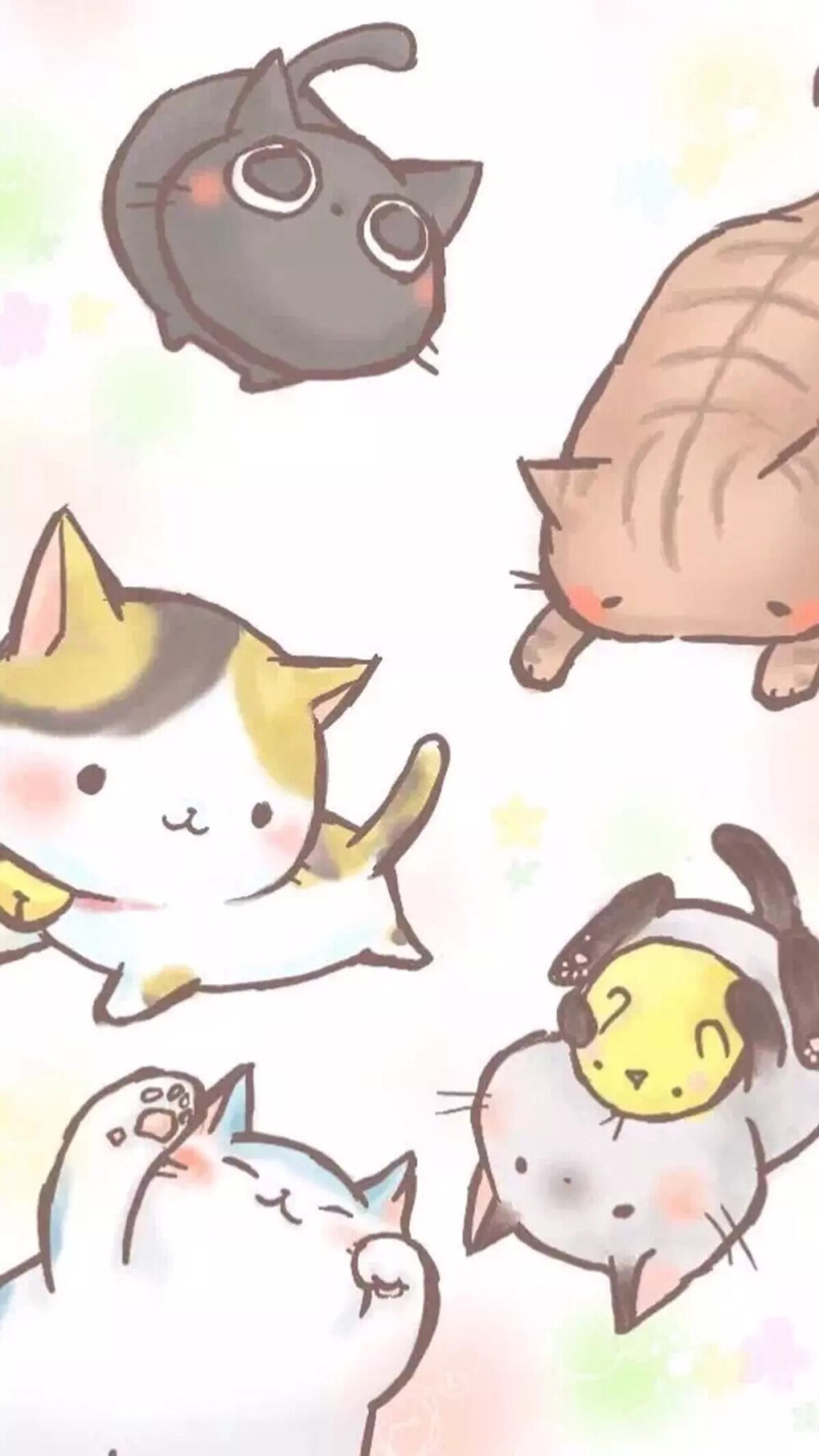 喵动漫_动漫喵喵酱_动漫喵星人女孩图片