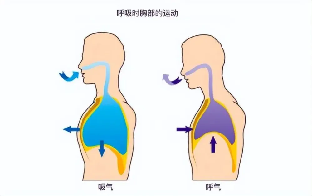 斗战神怎么入定修炼_修炼斗战神入定技巧_修炼斗战神入定的小说