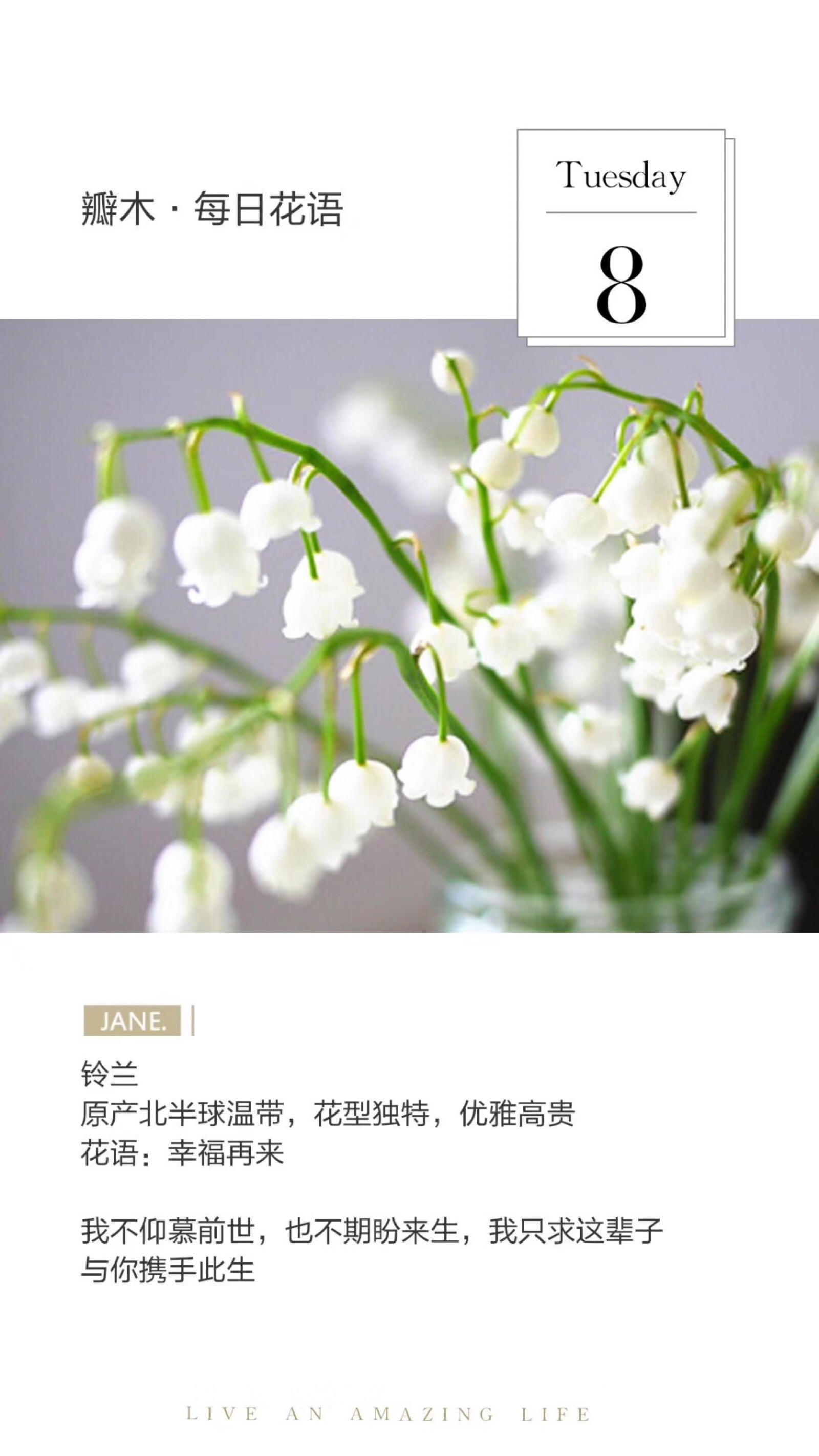 塞西莉亚花的花语_西塞利亚花花语_塞西丽亚花的花语