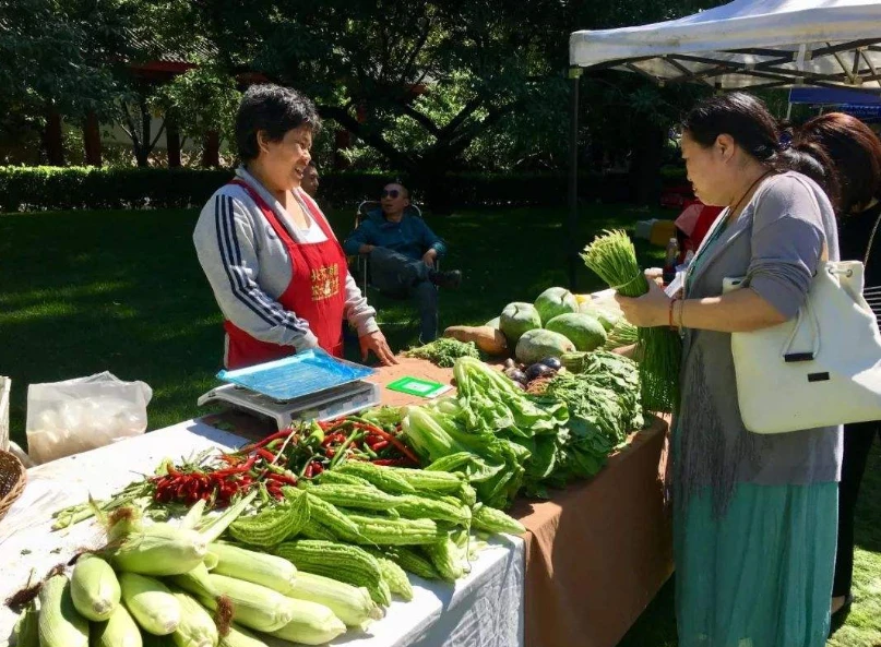 牧场物语风之集市集市事件_牧场物语风之集市_牧场物语风之集市集市对话