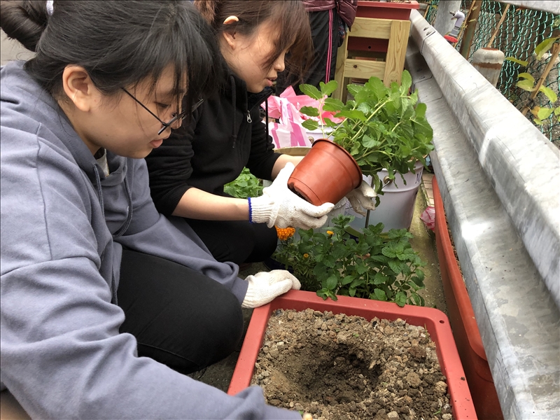 香草社_香草社新作2023_香草社百度百科
