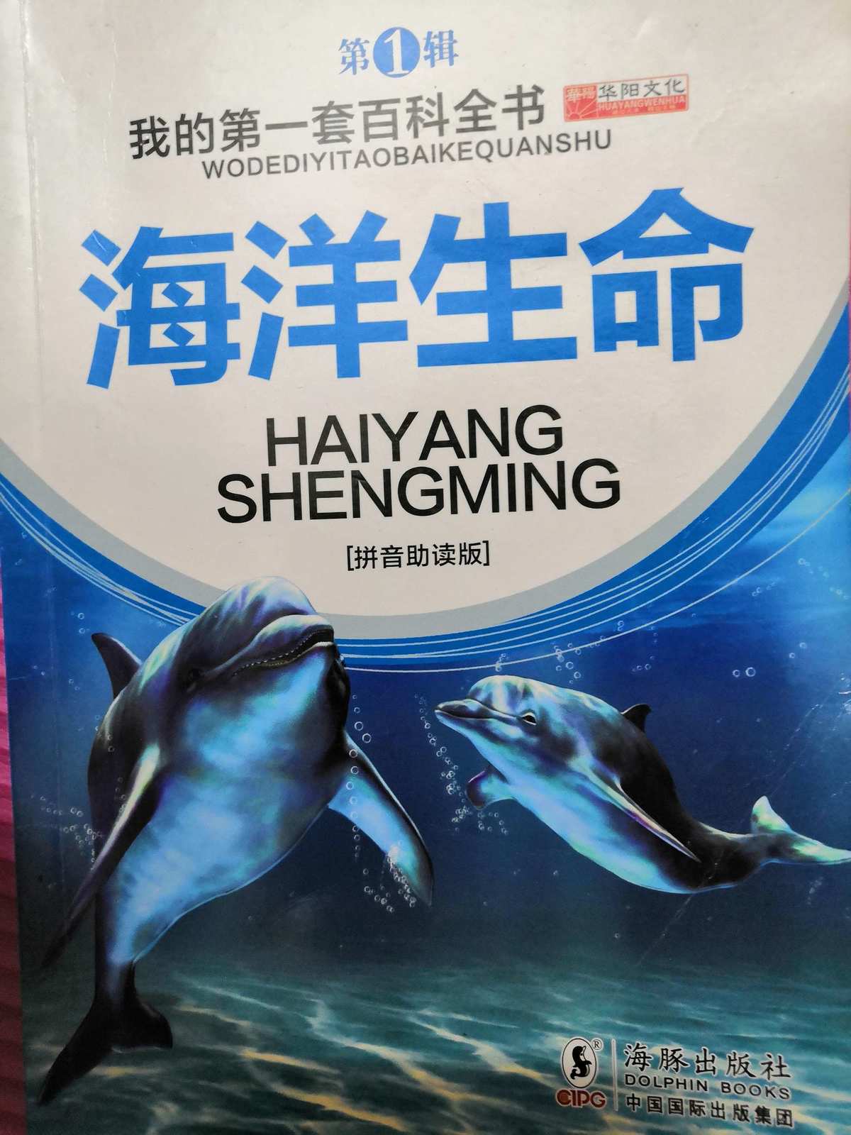 茫茫大海，木筏求生