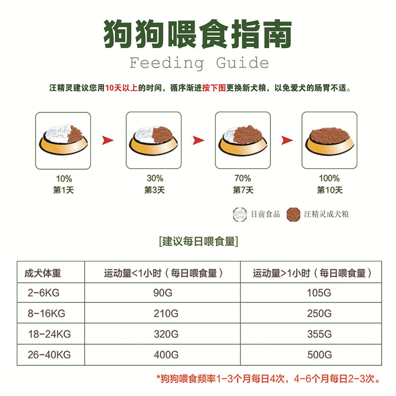 荷兰猪是宠物吗_宠物荷兰猪是什么动物_宠物动物荷兰猪是什么动物