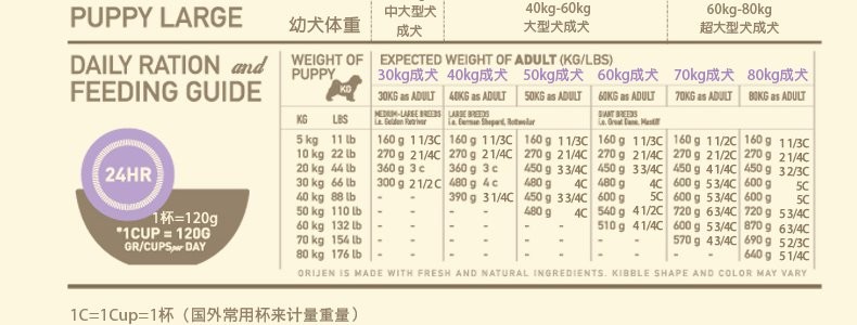 荷兰猪是宠物吗_宠物动物荷兰猪是什么动物_宠物荷兰猪是什么动物