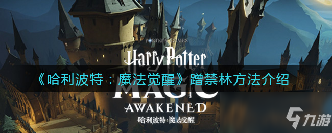 桃金娘哈利波特_哈利波特桃金娘演员_哈利波特桃金娘之死