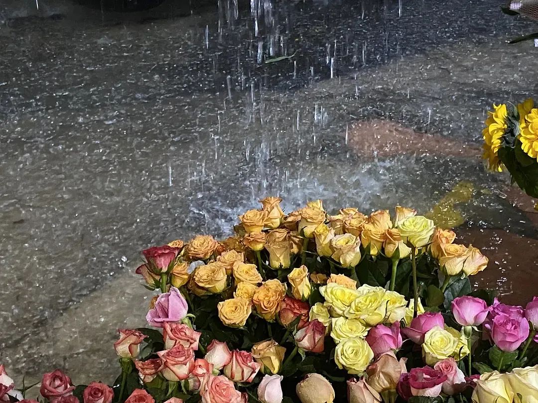 甘雨手机操作_甘雨触摸的隐藏玩法_甘雨的把手