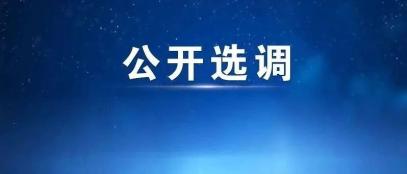 大庆冠通棋牌_大庆冠通棋牌手机下载_大庆冠通