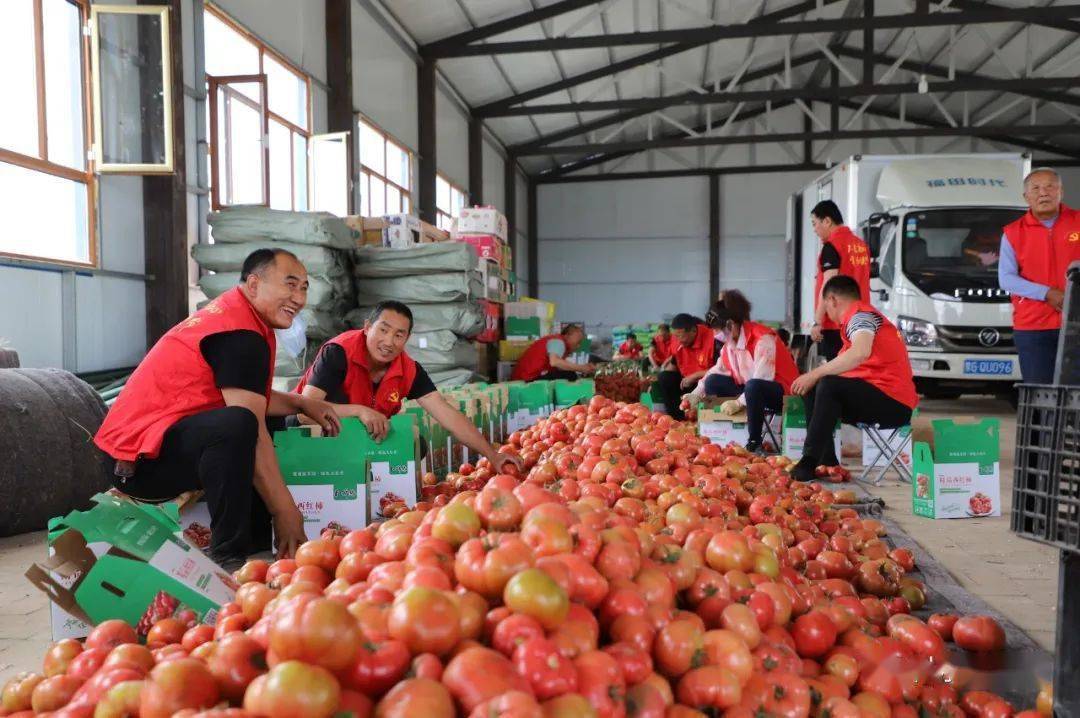 番茄平台_番茄平台怎么赚钱_番茄平台接单