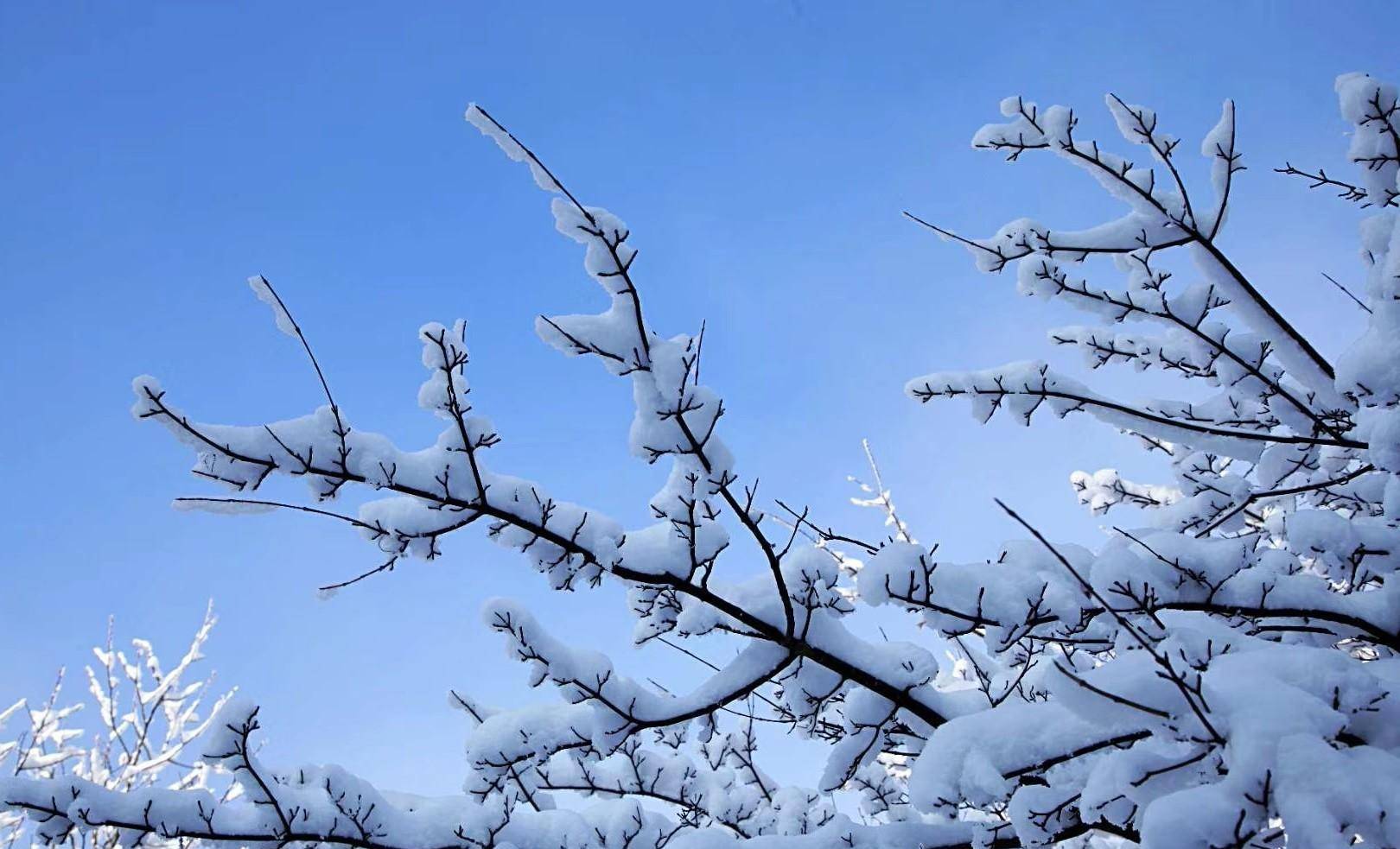 雪下轻卿_雪尽马蹄轻上一句是什么_轻雪