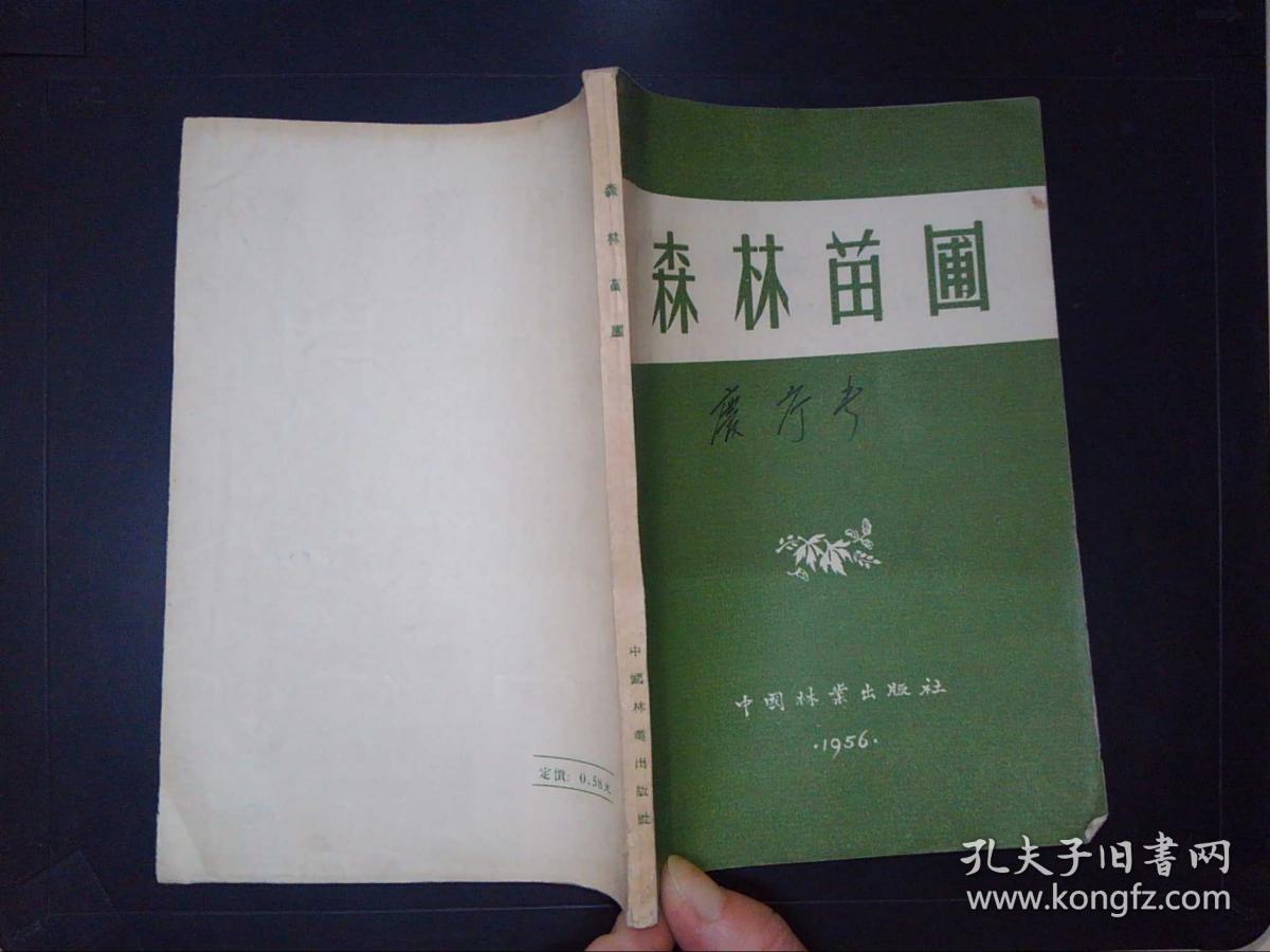 在森林中寻找苗圃取得桓斯弥利底_在森林中寻找苗圃取得桓斯弥利底_在森林中寻找苗圃取得桓斯弥利底