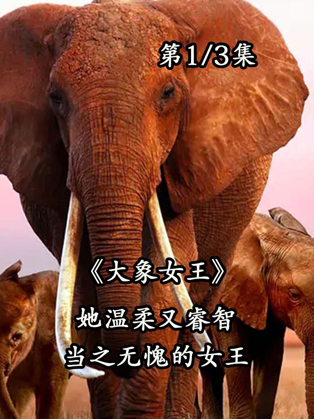 大象传媒有限公司招聘启事_大象传媒视频_大象牙膏视频