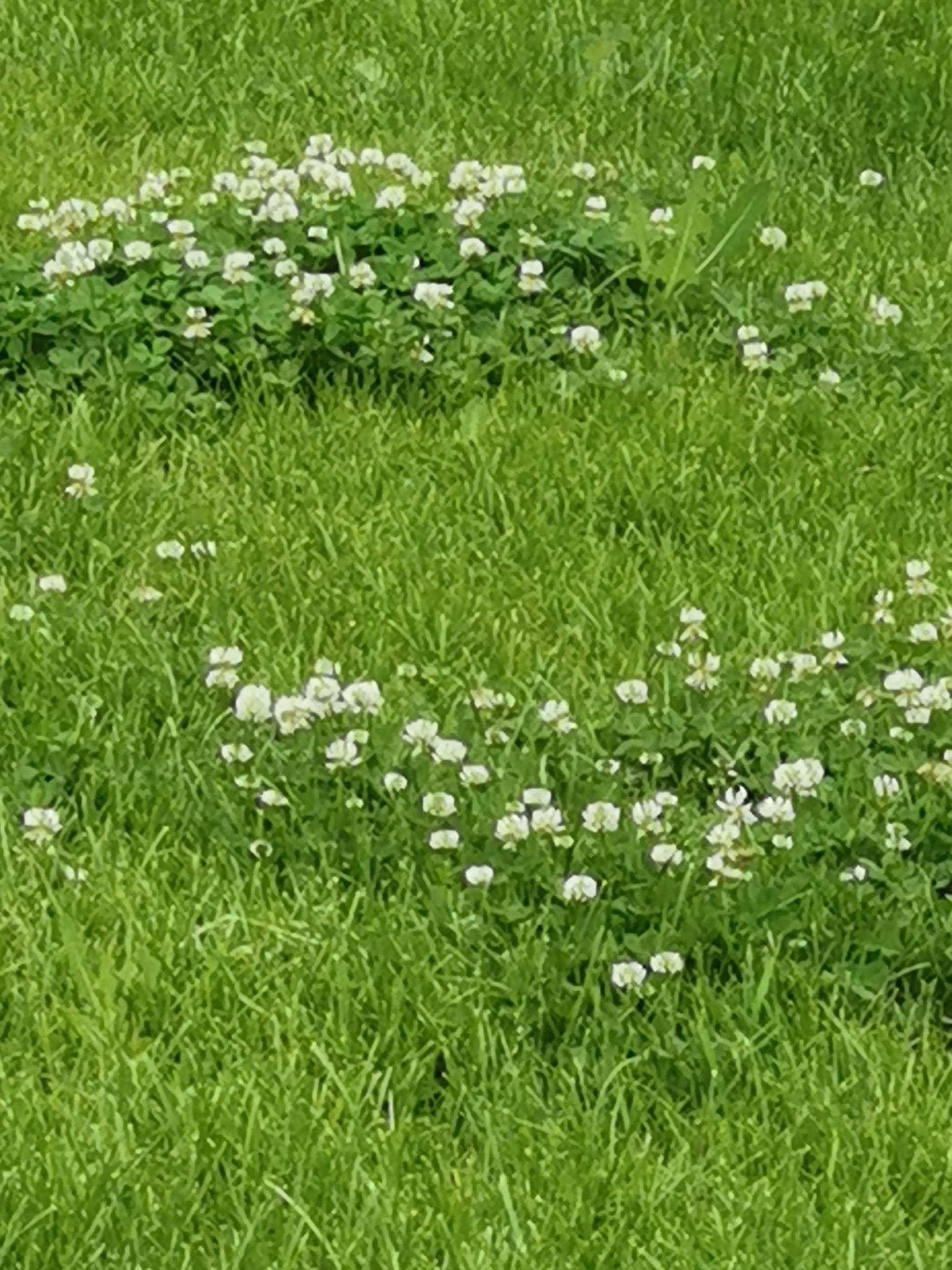 草爹的使命：滨海国际（微）电影节掀起草爹狂潮