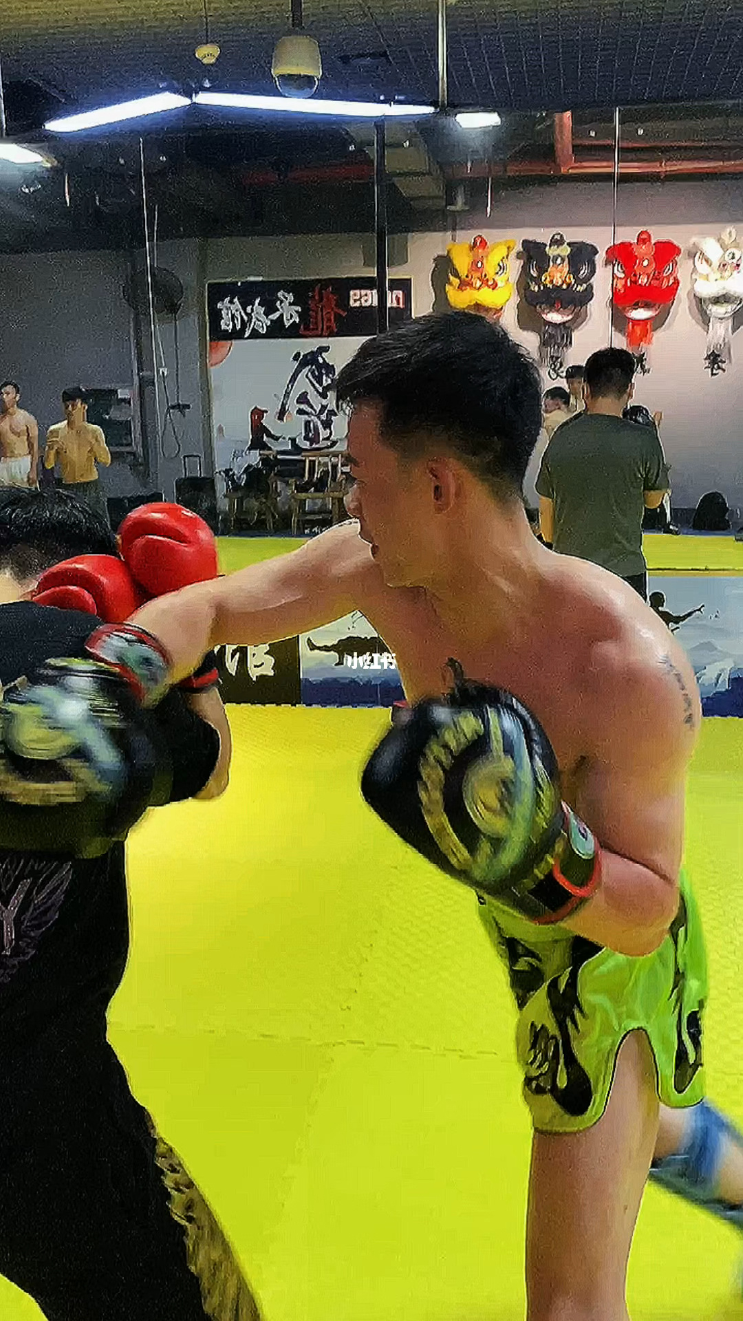 生死搏斗！我是职业拳击手，投身致命格斗