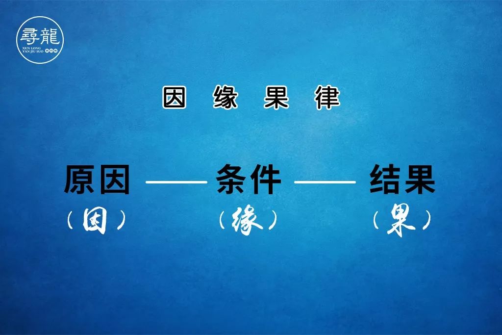 虚吾伊德_虚吾伊德_虚吾伊德