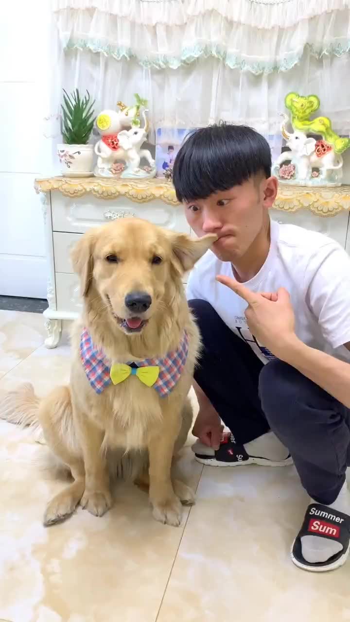 段友视频怎么保存_视频片段什么意思_段友视频