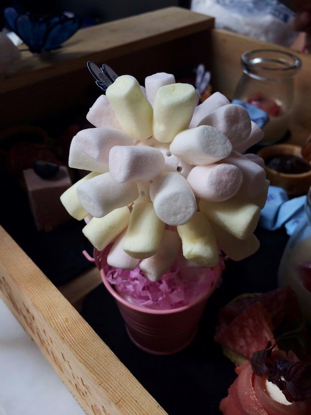 小学生狂爱棉花糖游戏