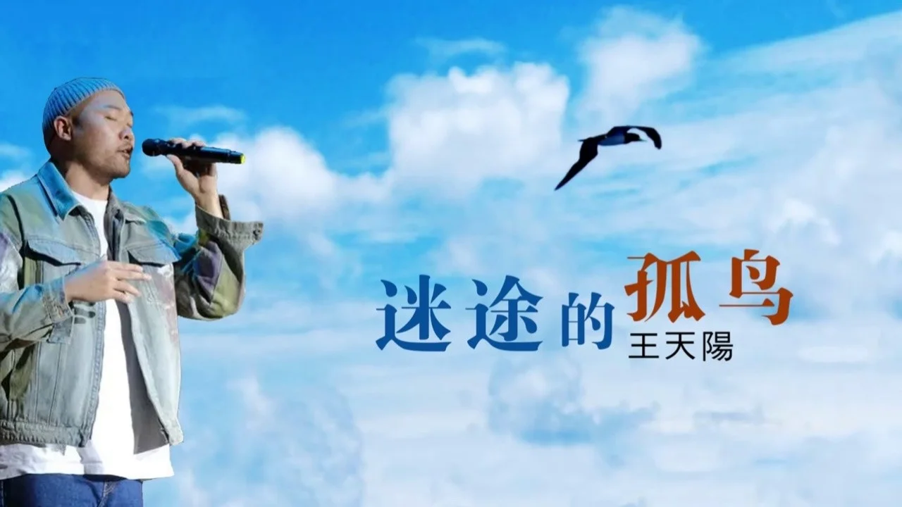 轻拂迷途心,风舞脸庞 轻拂迷途心,风舞脸庞