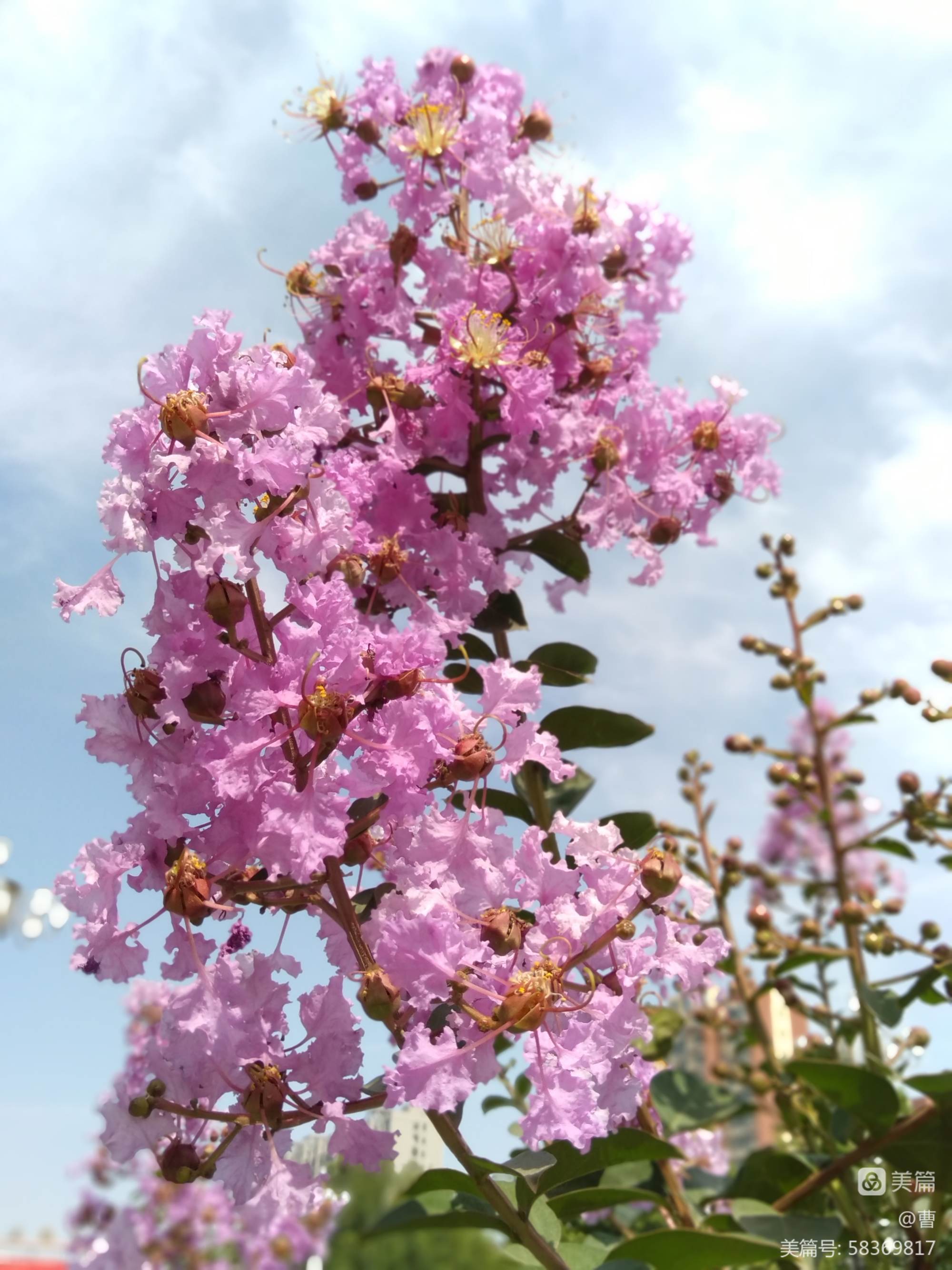 花紫直播_花紫直播_花紫直播