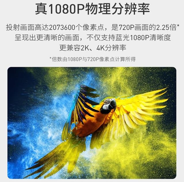 鲨鱼画质助手_鲨鱼top画质助手官方下载_画质助手鲨鱼top