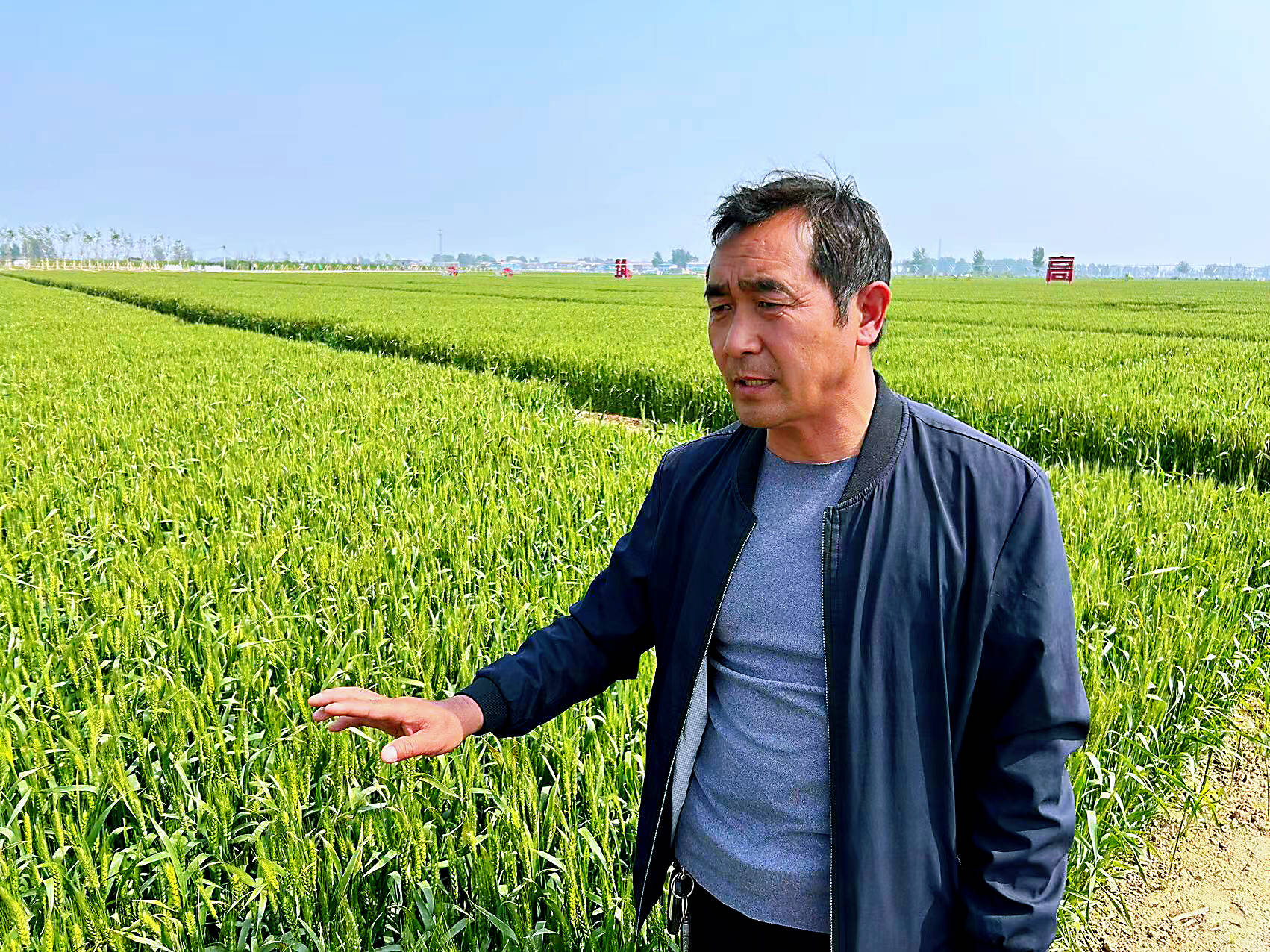 豌豆荚_豌豆荚安卓版官方下载_碗豆荚