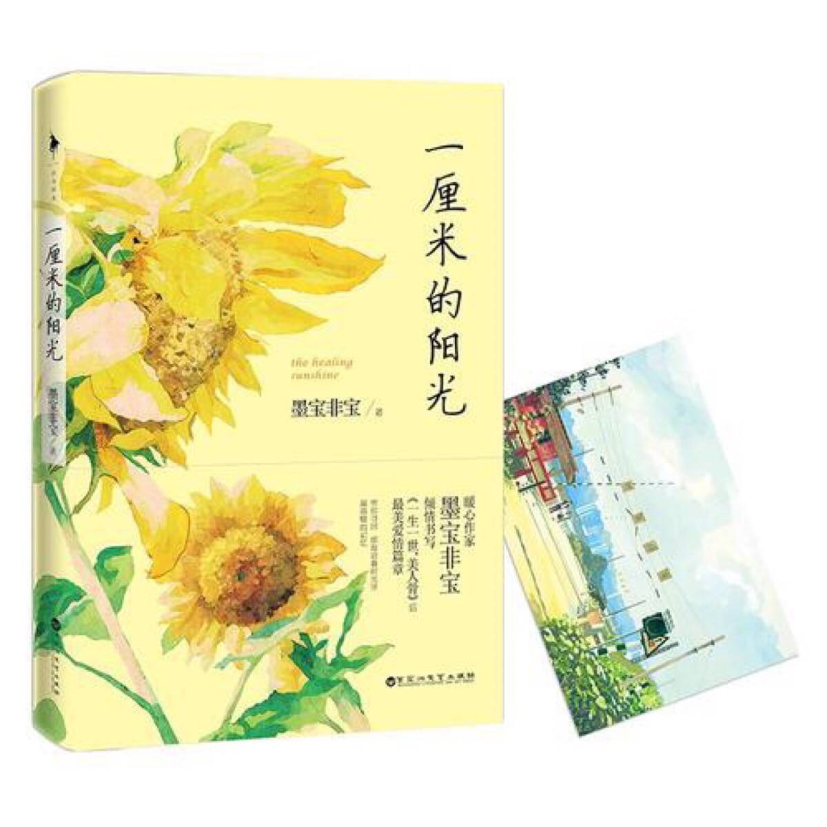 字字动人，笔尖情缘