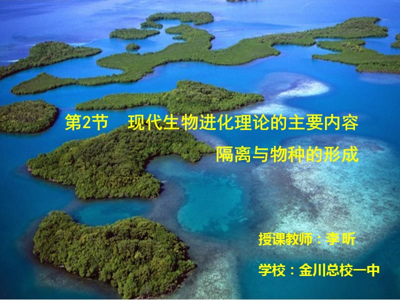 一对鼠怎么进化_咚咚鼠进化_龙头地鼠进化