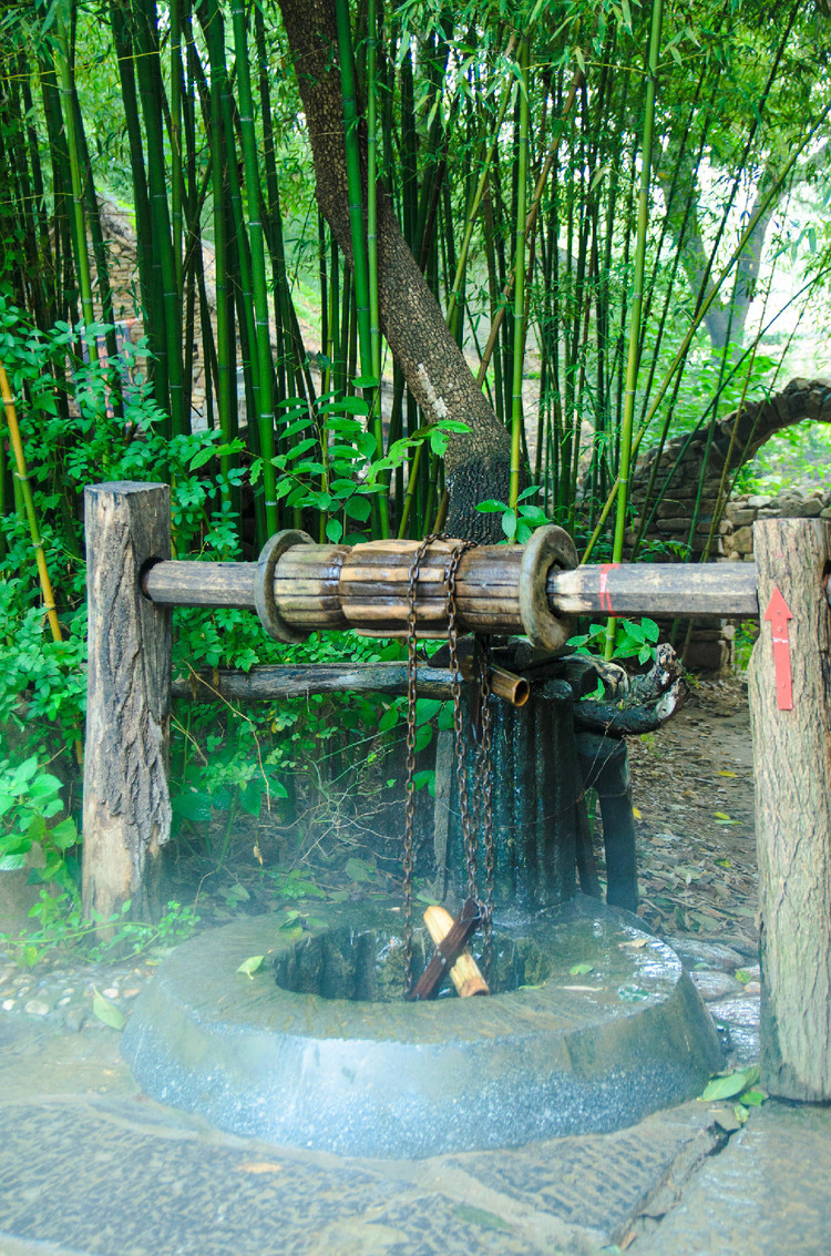 竹井之旅游戏_井竹集团_井竹实业有限公司