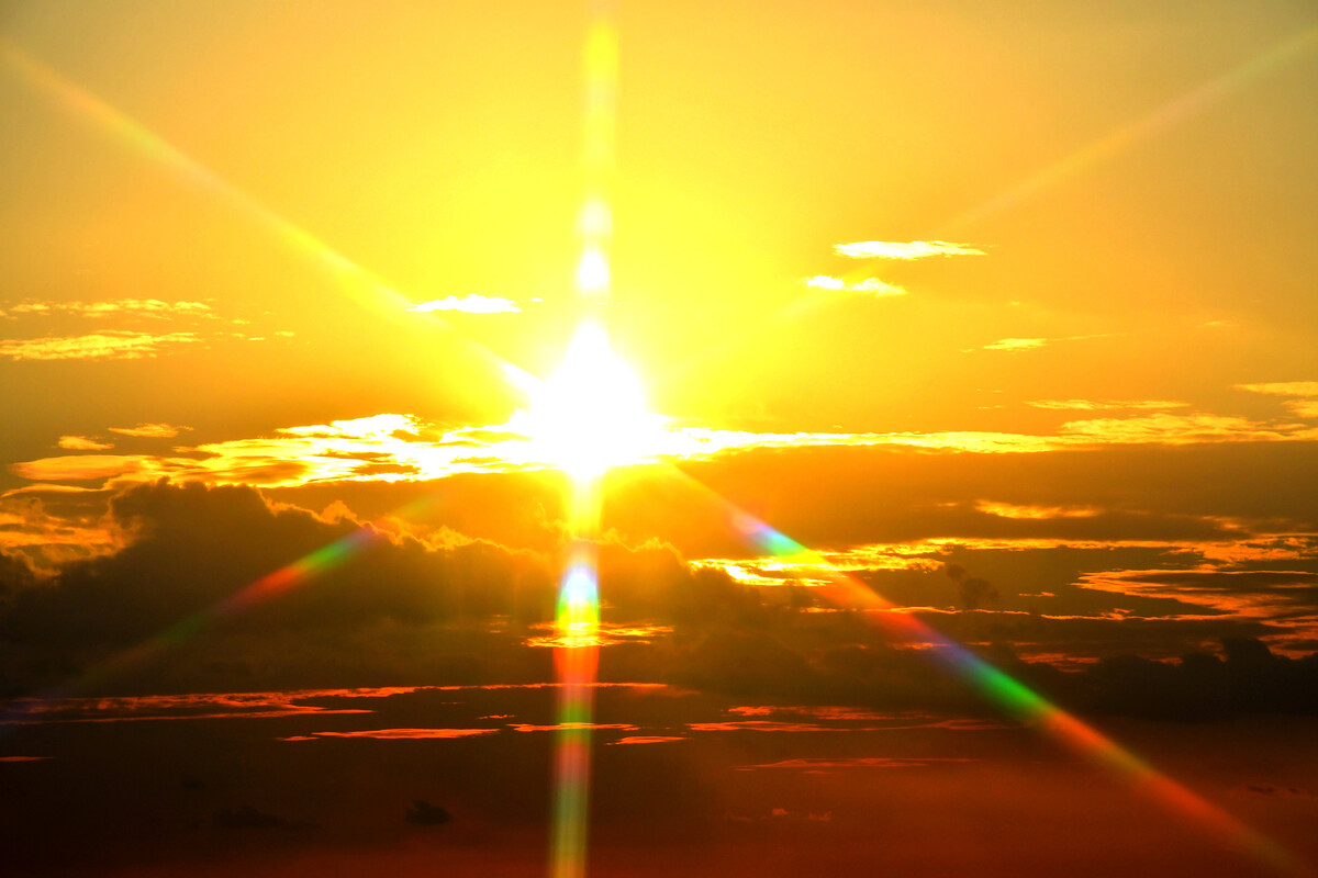 皎皎空中孤月轮的上一句_日月轮_月轮鹦鹉