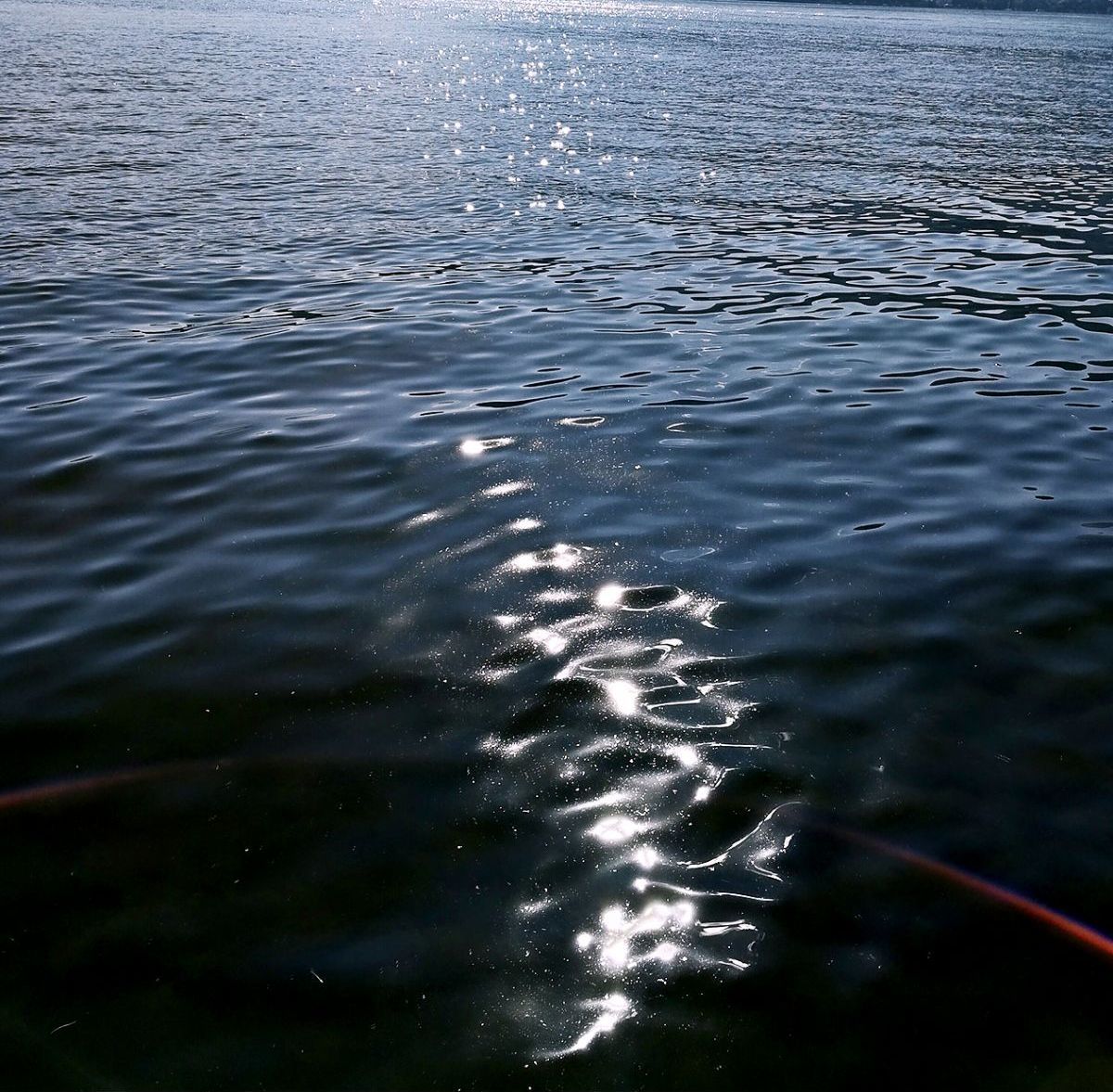 深海禁欲_深海禁地香水_深海禁欲停服了怎么办