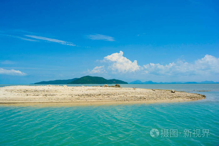 新岛真coop_新岛八重_新岛冴