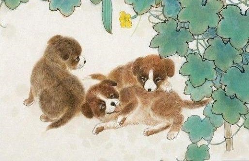 十二生肖传奇狗生肖_酷狗是什么生肖_酷狗生肖传说