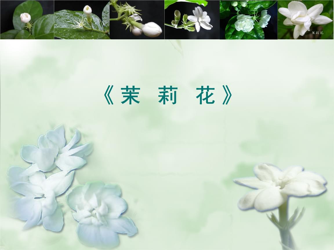 茉莉花音乐谱曲_茉莉花乐谱_音乐谱茉莉花